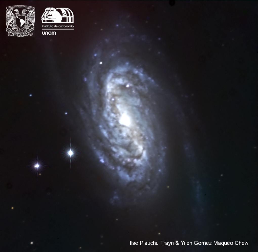 NGC 2903 