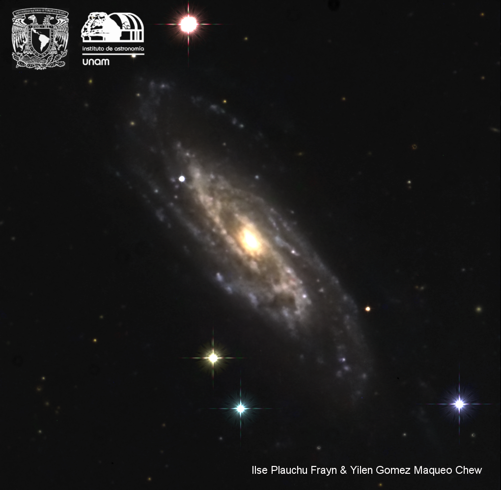 NGC 3198