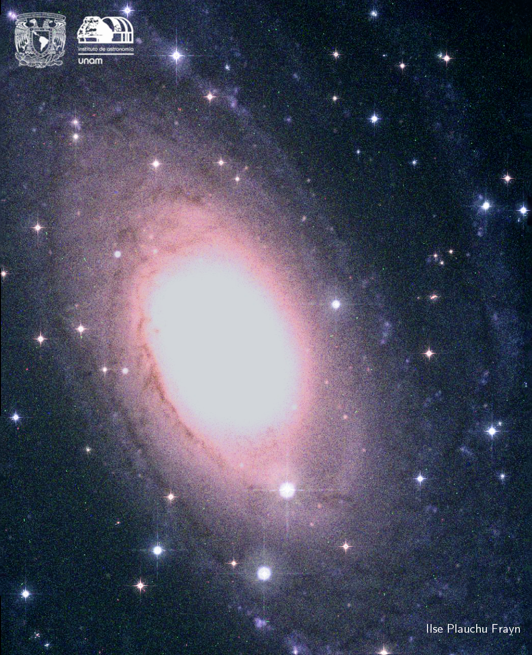 Messier 81