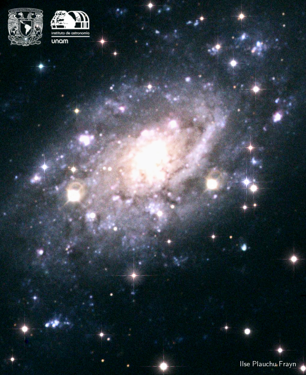 NGC2403