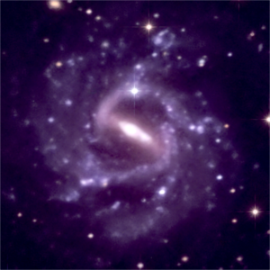 NGC1073