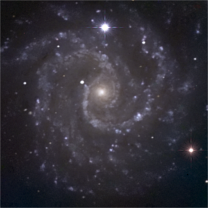 NGC3184