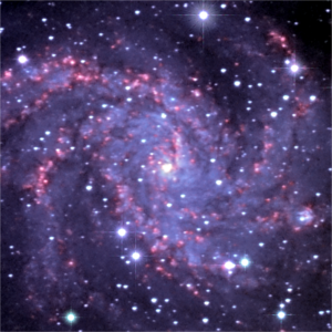 NGC6946